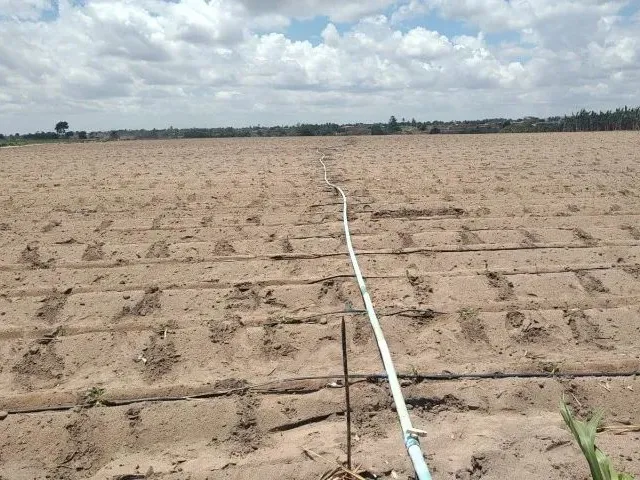 Imagem: O terreno possui 81.796m² de Área e está localizado em