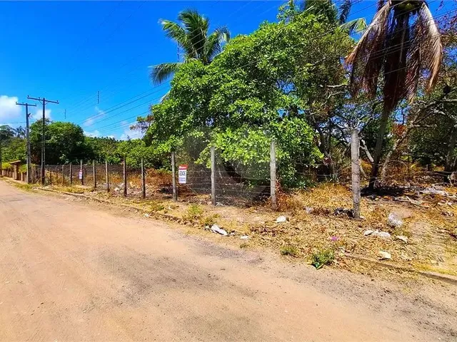 Imagem 1: Terreno À Venda em Centro - Al