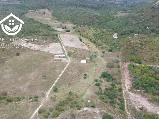 Imagem: Fazenda com 300 Tarefas em São José da
