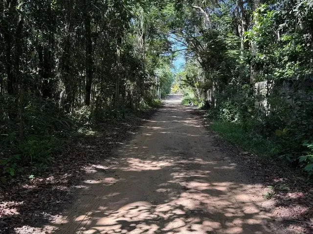 Imagem 1: Trancoso - Estrada dos Macacos