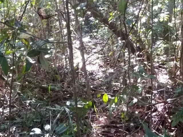 Imagem 5: Trancoso - Estrada dos Macacos