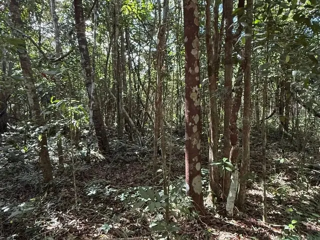 Imagem 7: Trancoso - Estrada dos Macacos