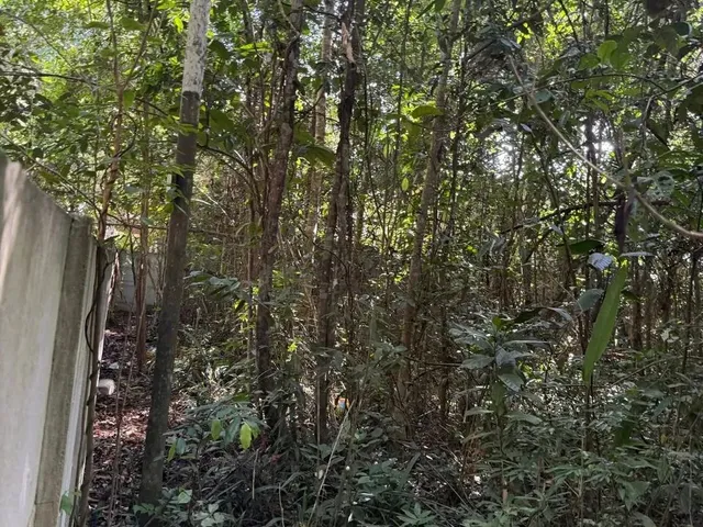 Imagem 4: Trancoso - Estrada dos Macacos