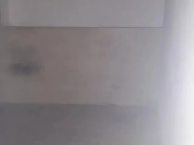 Imagem 2: Alugo Casa Próximo a 1ª Etapa de Castelo Branco