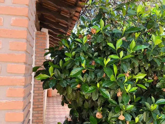 Imagem 16: Casa em Sumaré-Sp