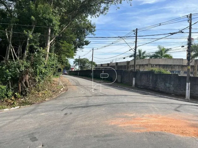 Imagem 5: .