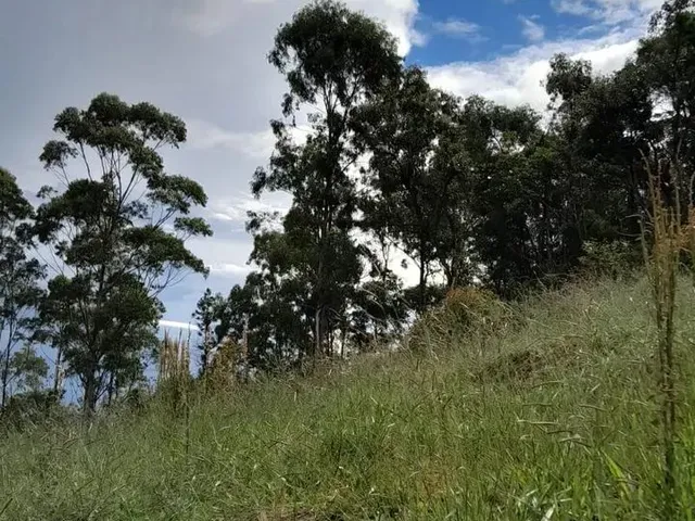 Imagem: Oportunidade no Interior de Sp Terrenos