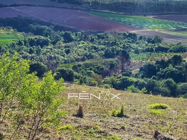 Imagem: Um Terreno Que Acompanha Sua Visão