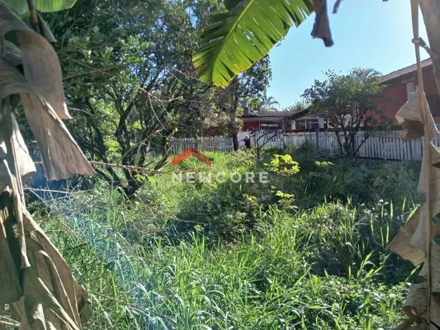 Imagem: Chácara em Rua Salvador Ferreira - Parque