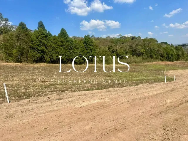Imagem 7: 85C- Lotes Residenciais em Caucaia