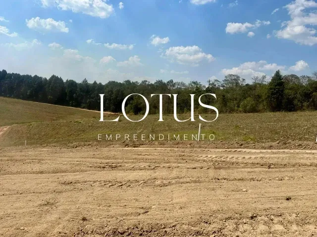 Imagem 5: 85C- Lotes Residenciais em Caucaia