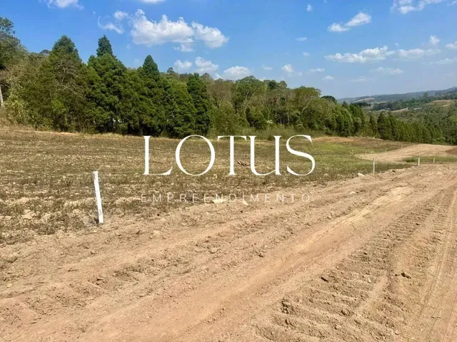 Imagem 6: 85C- Lotes Residenciais em Caucaia