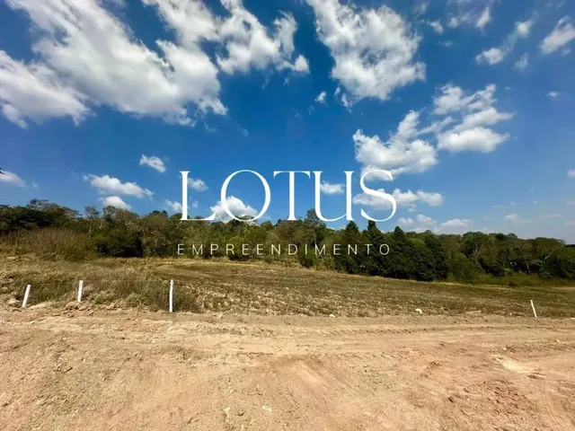 Imagem 3: 85C- Lotes Residenciais em Caucaia