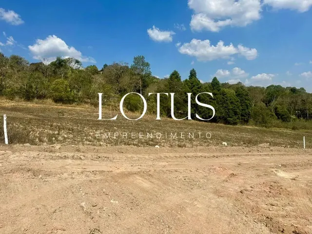Imagem 13: 85C- Lotes Residenciais em Caucaia