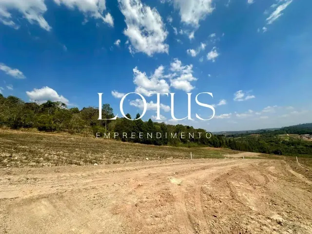 Imagem 15: 85C- Lotes Residenciais em Caucaia