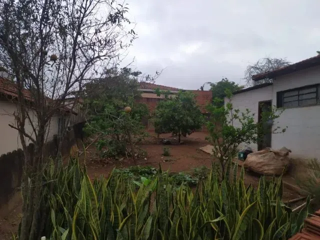 Imagem 10: Casa Disponível para Venda em Tanabi Sp