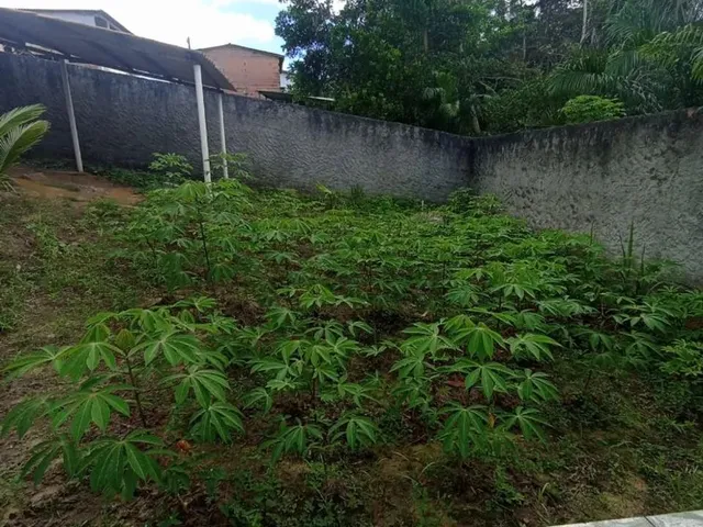 Imagem 10: Casa com Garagem na Ilha de Cairú- Ba