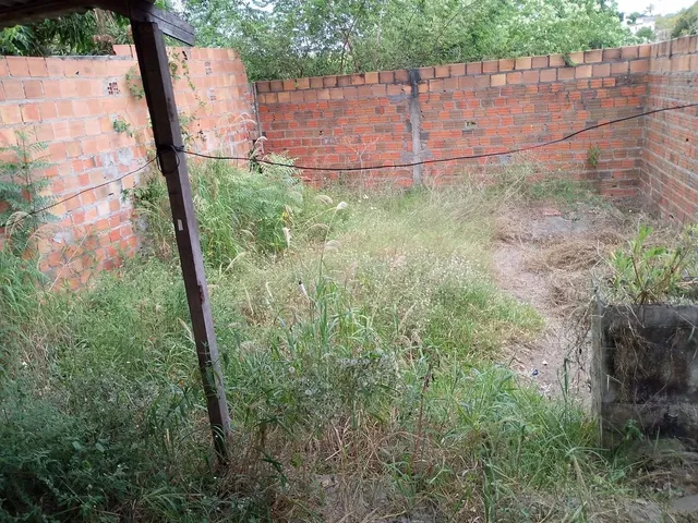 Imagem: Vendo Casa do Lado da Uefs