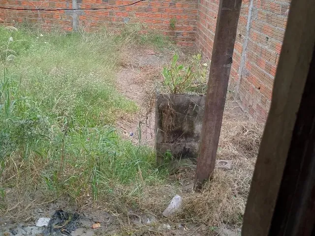 Imagem 2: Vendo Casa do Lado da Uefs