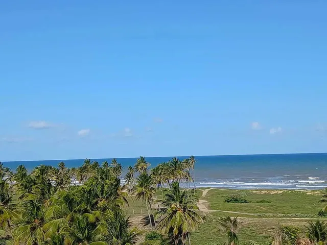 Imagem 12: Horto da Barra - M.cc - Norte/Leste - 6º Andar [15741