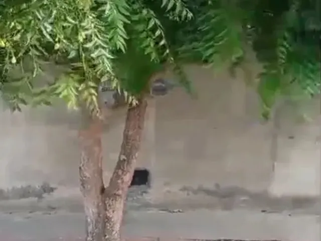 Imagem: Vendo Uma Casa no Marcos Freire 1