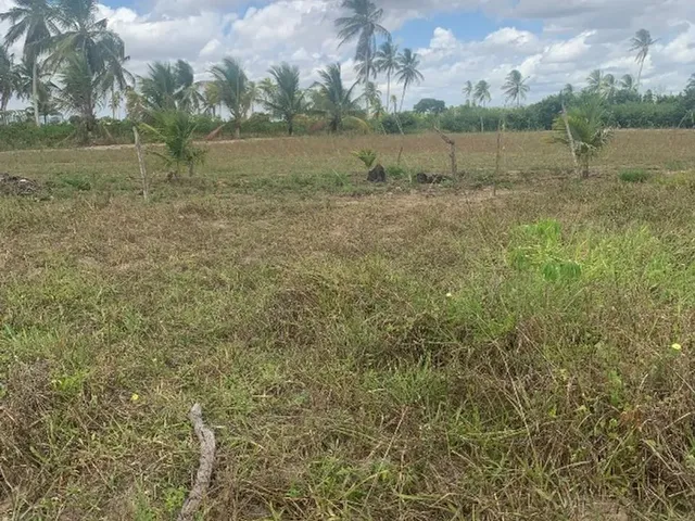 Imagem 5: Itaporanga da Ajuda Povoado Gravatá