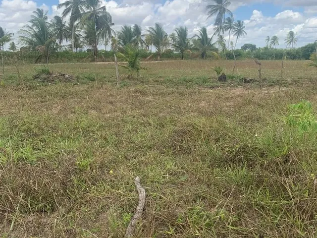 Imagem 7: Itaporanga da Ajuda Povoado Gravatá