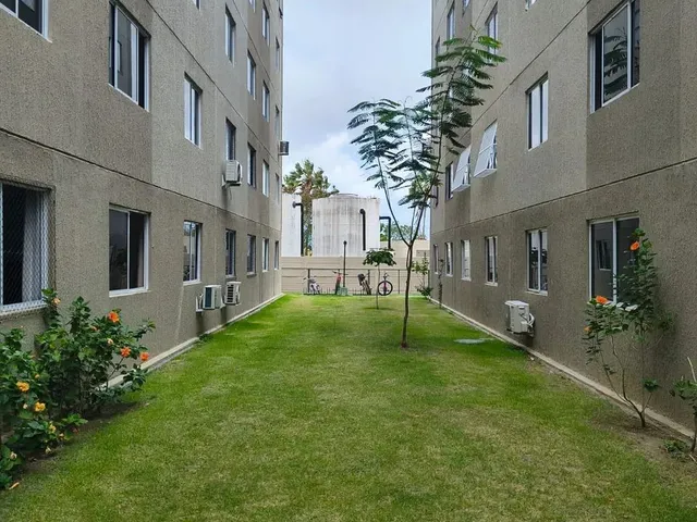 Imagem 11: Alugo Imóvel Direto com Proprietario com 2 Quartos em Cajazeiras - Fortaleza - Ce