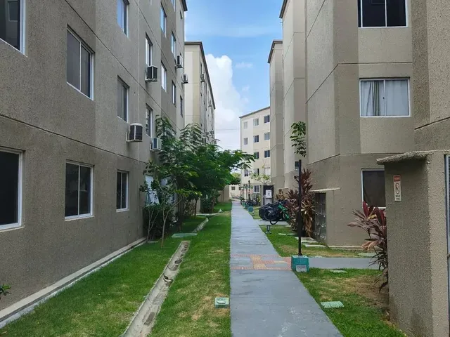 Imagem 9: Alugo Imóvel Direto com Proprietario com 2 Quartos em Cajazeiras - Fortaleza - Ce