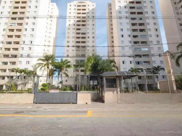 Imagem: Lindo Apartamento Padrão para Alugar no