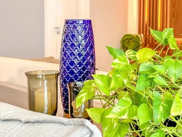 Imagem 13: Vendo Apartamento na Península Way
