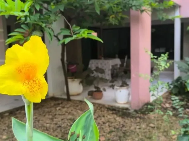 Imagem 14: Casa Mobiliada 206 Sul, Centro - 3 Quartos Sendo 2 Suítes com 4 Vagas de Estacionamento