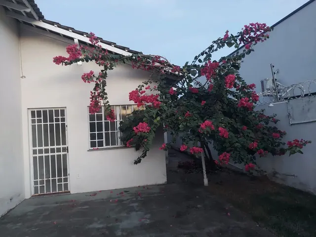 Imagem: Aluga-Se Casa