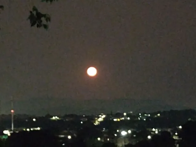 Imagem 1: Vendo Terreno de 1.440M²