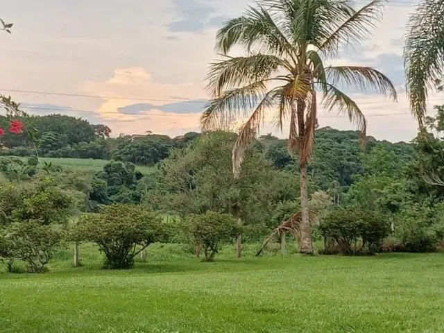 Imagem 13: Sitio Raiz em Boituva, 4 Alq 90% Pasto