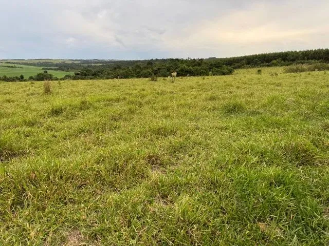 Imagem: Araçoiaba Proximo Pró Vida Sitio 18 Alqueires