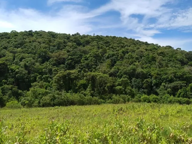 Imagem: Lote em Ibiúna em Região Valorizada