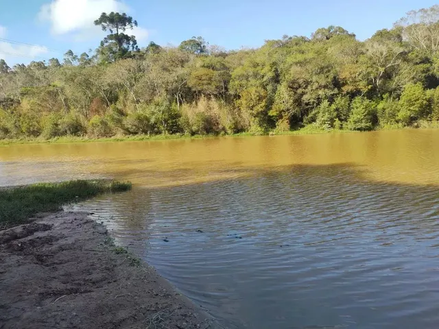 Imagem 6: O Que Ninguém Te Contou Antes de Comprar