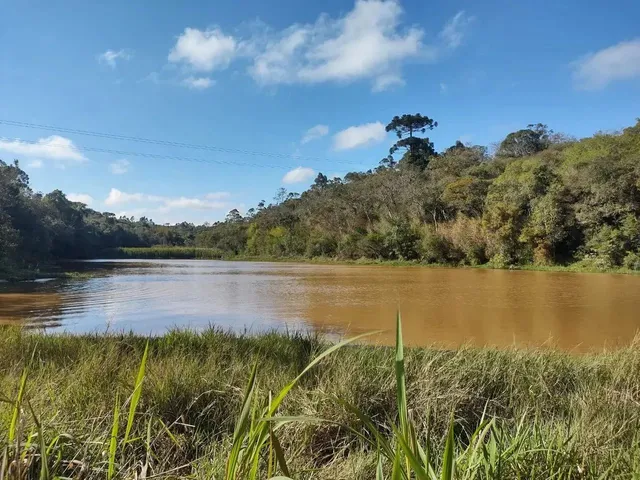 Imagem 2: O Que Ninguém Te Contou Antes de Comprar