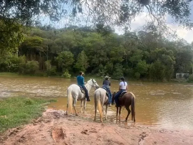 Imagem 8: O Que Ninguém Te Contou Antes de Comprar