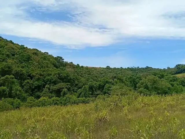 Imagem: Casa de Condomínio para Venda Tem 500 Metros