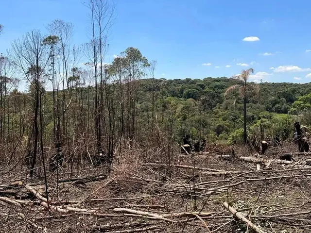 Imagem 4: Terreno de 500M² À Venda em Ibiúna com Preço Promocional