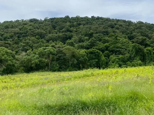 Imagem 8: Terrenos Promocionais em Condominio de Chacaras, Ibiúna - Sp