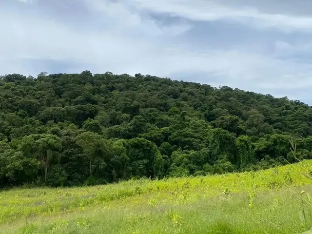 Imagem 4: Terrenos Promocionais em Condominio de Chacaras, Ibiúna - Sp