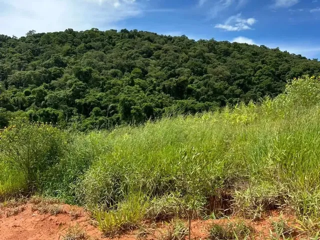 Imagem 12: Terrenos Promocionais em Condominio de Chacaras, Ibiúna - Sp
