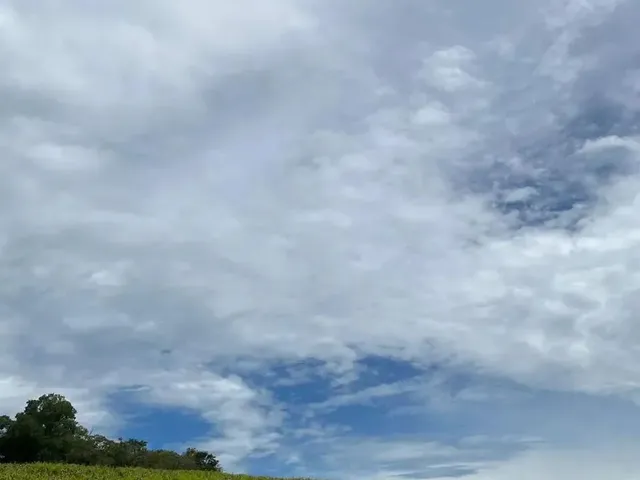 Imagem 6: Terrenos Promocionais em Condominio de Chacaras, Ibiúna - Sp