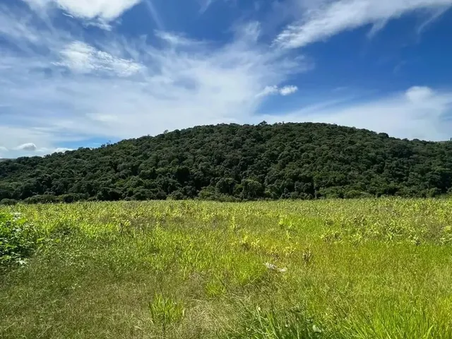 Imagem 15: Terrenos Promocionais em Condominio de Chacaras, Ibiúna - Sp