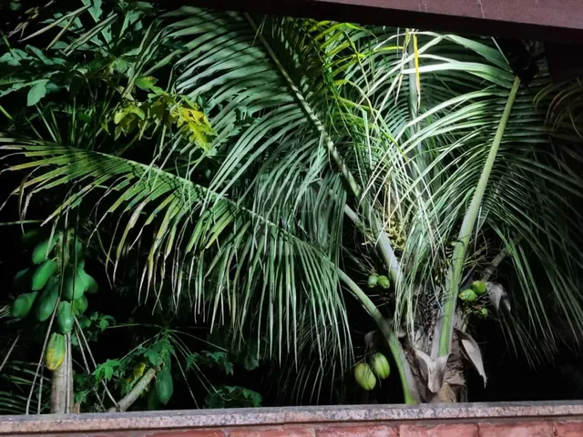 Imagem 10: Chácara a Venda Municipio Indianópolis
