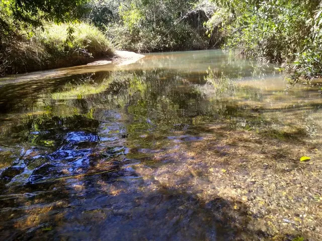 Imagem 6: Oportunidade Unica: Chácara de 5.000M2 com Muita Água - Só R$ 30 Mil de Entrada