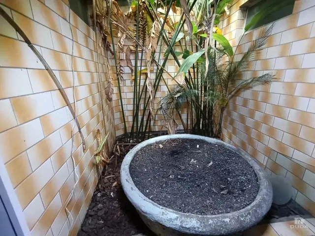 Imagem 8: Sala Comercial Térrea